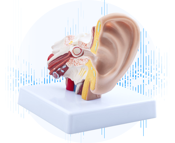 Tinnitus, Störgeräusch im Ohr, chronischer Tinnitus, Beratung, Kostenloser Hörtest Zuhause oder in unserem Fachgeschäft